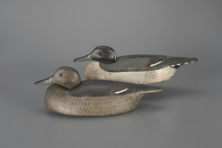 Billy Ellis – Tucked-Head Pintail Pair – 2025