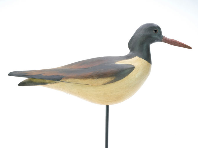 Bill Gibian – Avocet – 2025