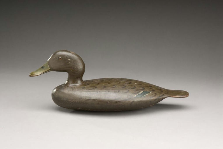 Stevens Bros – Black Duck – 2009