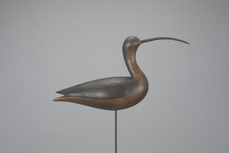 Ian McNair – Curlew – 2023