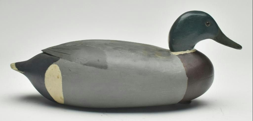 Joe King – Mallard – 2023