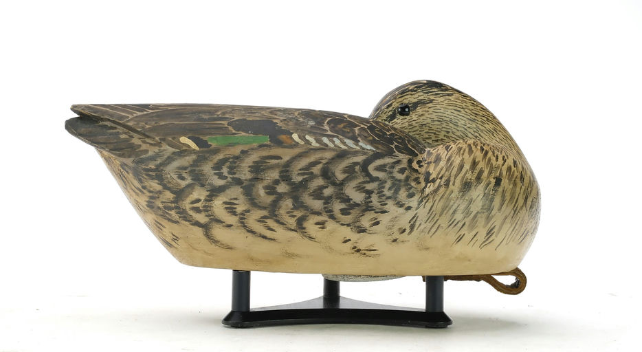 Grayson Chesser – Sleeping Green-winged Teal Hen – 2025
