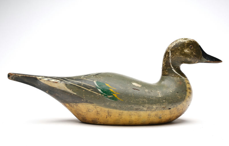 Charles Bergman – Pintail – 2026