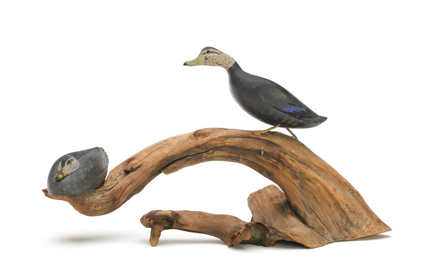 Russ Burr – Black Duck – 2026