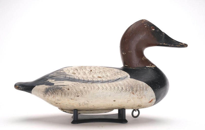 Henry Lockard – Canvasback – 2026
