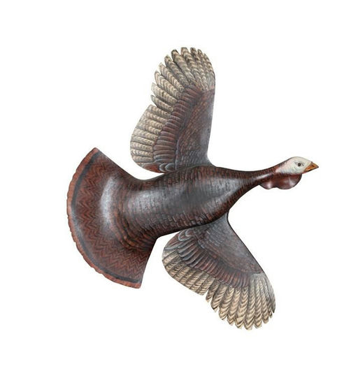 James Joseph Ahearn – Flying Turkey – 2020