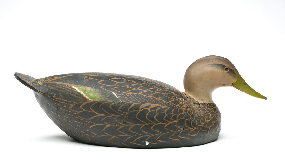 Ward Brothers – Black Duck – 2026