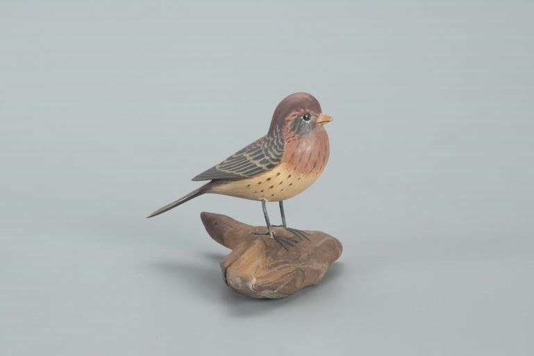 James Lapham – Purple Finch – 2022