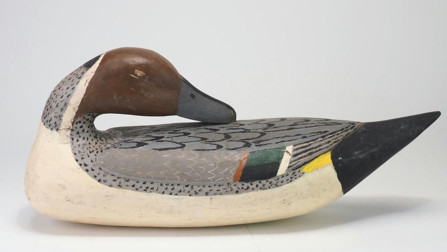 Jules E Frederick — Preening Pintail Drake