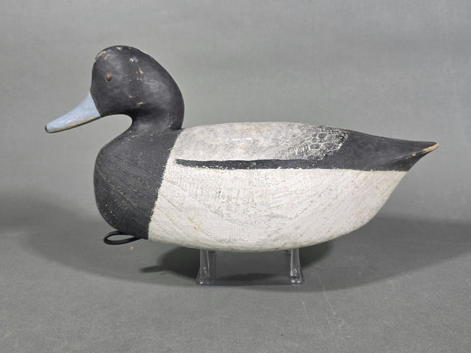 Mark Daisey – Scaup – 2026