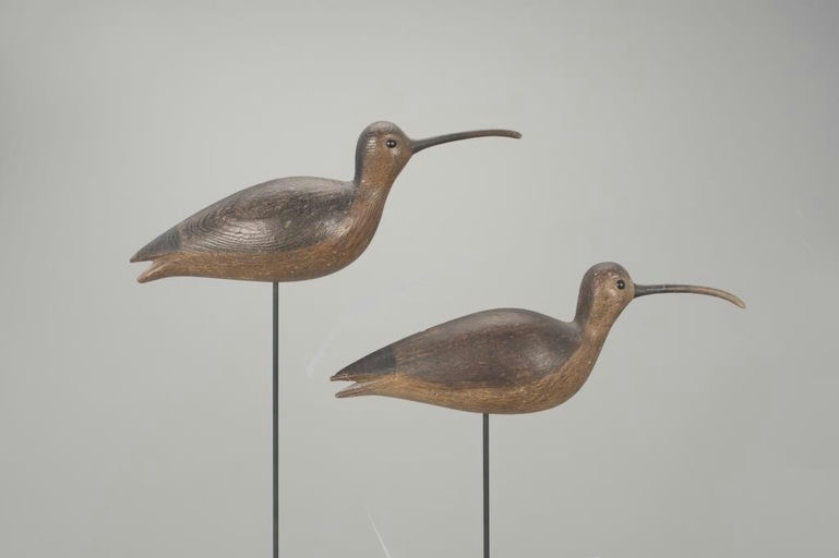 Mark McNair – Two Curlew – 2022