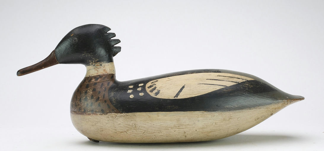 Harry V. Shourds – Merganser – 2024