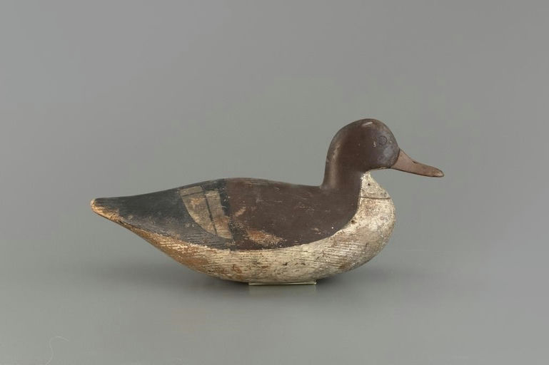 Verity Family – Merganser Hen – 2025