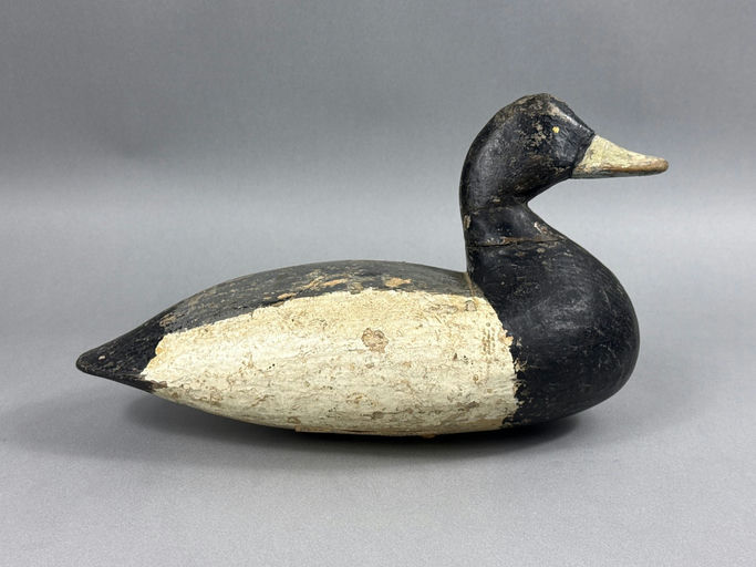 Doug Jester – Scaup – 2026