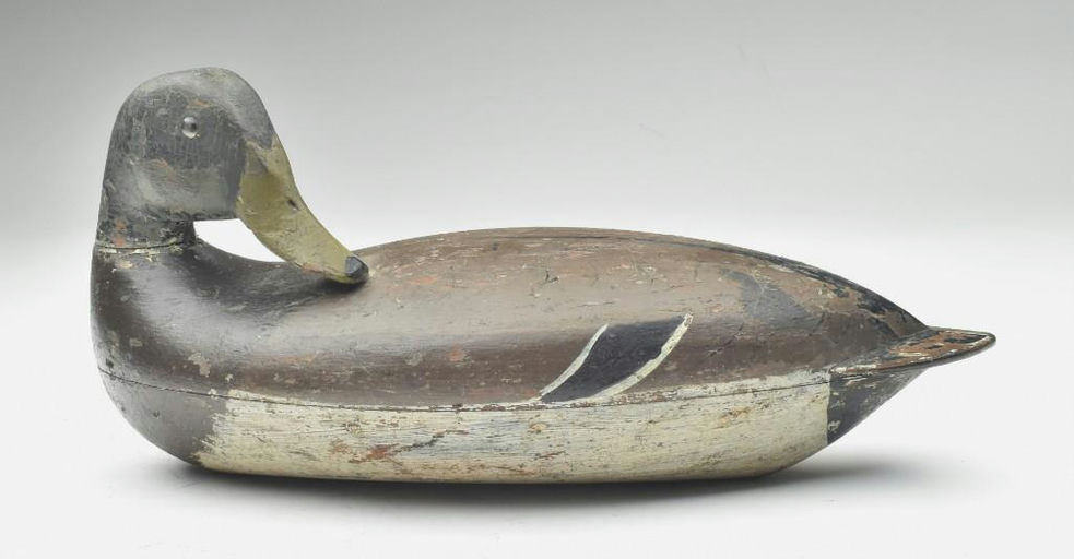 Robert Elliston – Preening Mallard – 2023