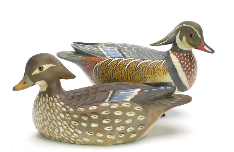Reggie Birch – Wood Duck – 2024