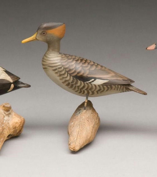 James Lapham – Miniature Hooded Merganser Hen – 2009