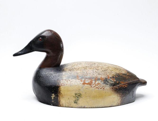 Ed Murphy – Canvasback – 2026
