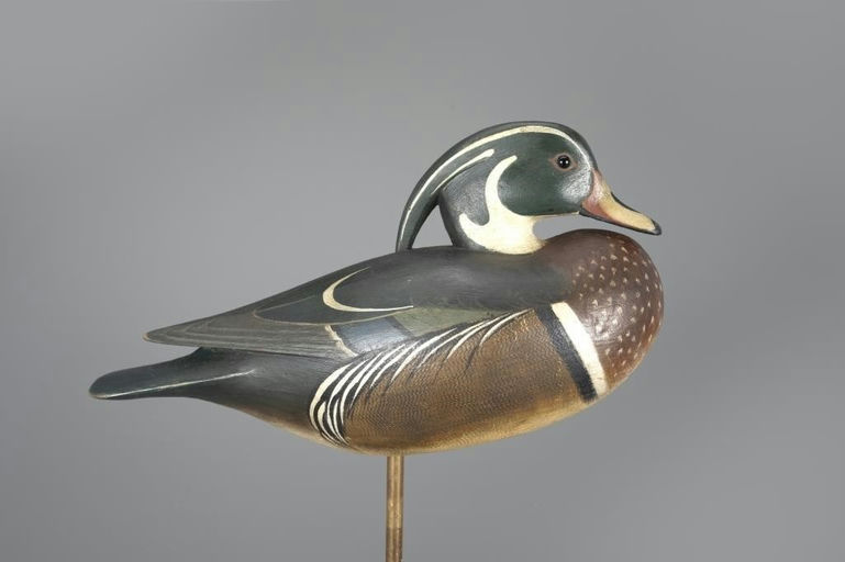 Mark McNair – Standing Wood Duck Drake – 2024