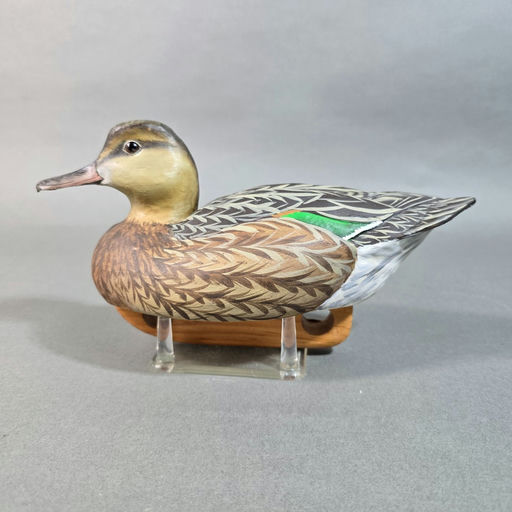 Dan Brown – Green-winged teal – 2026
