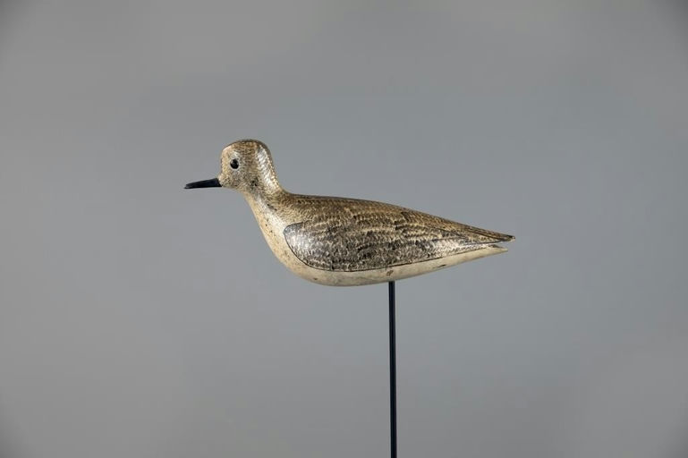 George Boyd – The O'Brien Nelson Plover – 2025