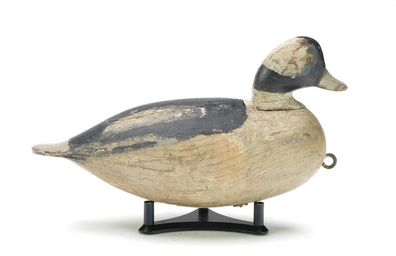 Ira Hudson – Bufflehead – 2025