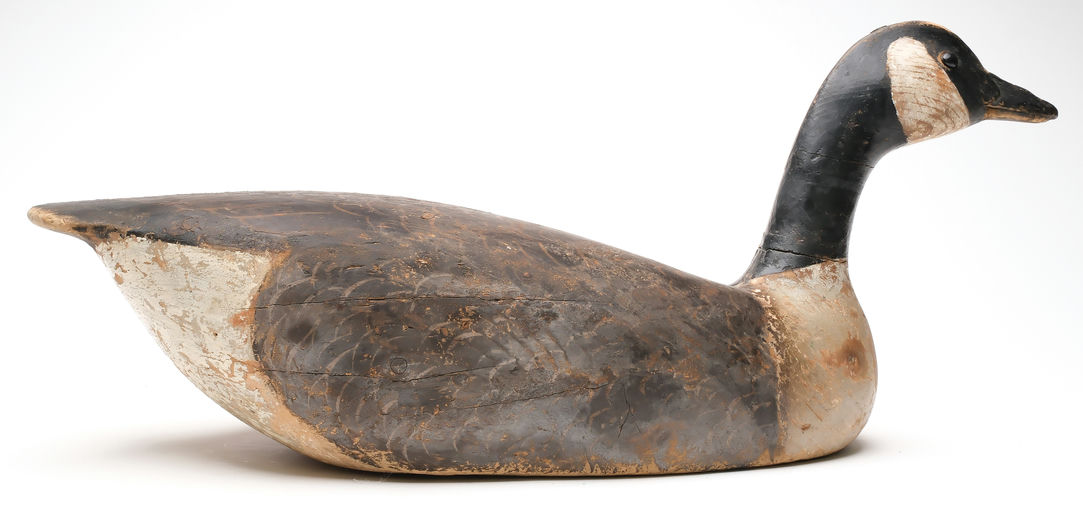 Ward Brothers – Canada goose – 2026