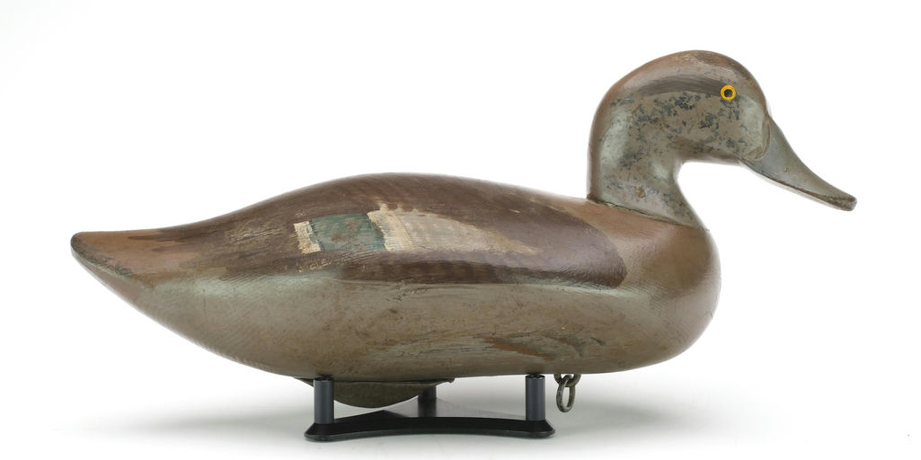 R. Madison Mitchell – Wigeon Hen – 2024