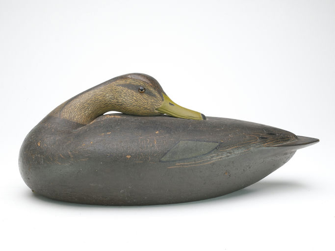 Louis Rathmell – Black Duck – 2023