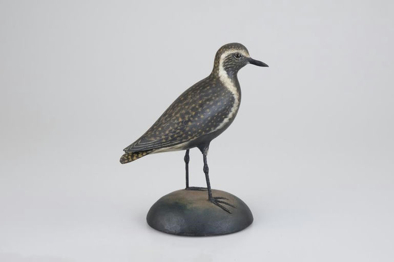 Elmer Crowell – The Davenport Turned-Head Golden Plover – 2026