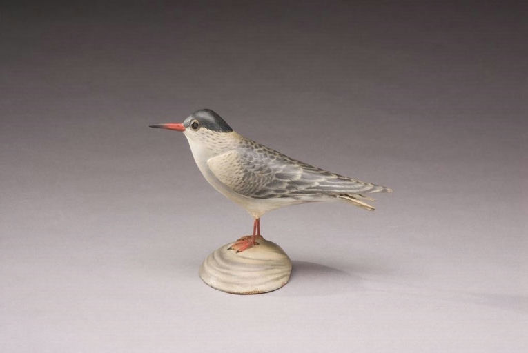 Elmer Crowell – Half-Sized Common Tern – 2010