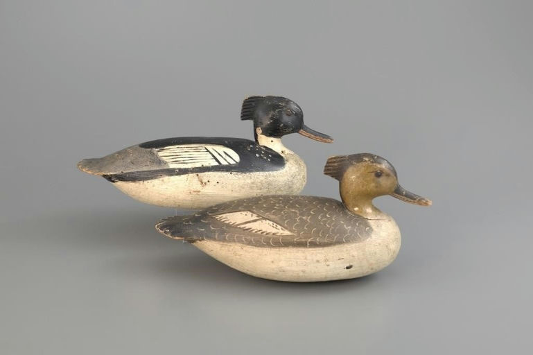 Ira Hudson – Exceptional Purnell-Hudson Merganser Pair – 2025