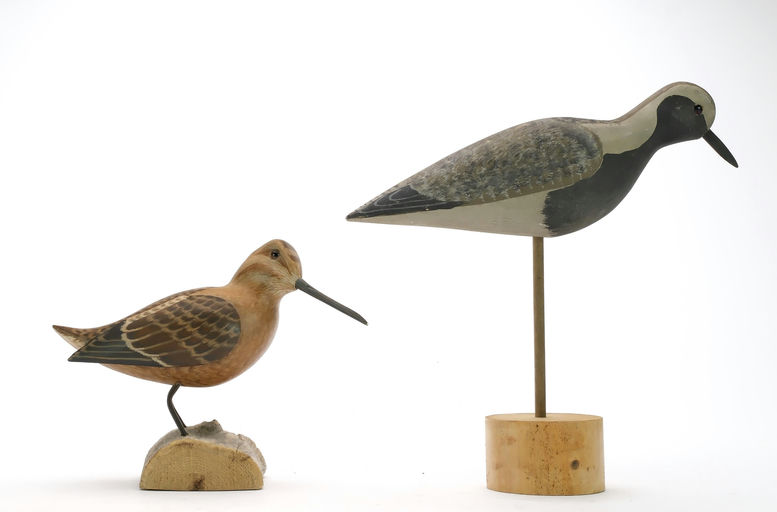 Harry V. Shourds – Black Bellied Plover – 2024