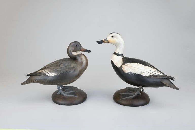 Bill Gibian – Standing Labrador Duck Pair – 2026