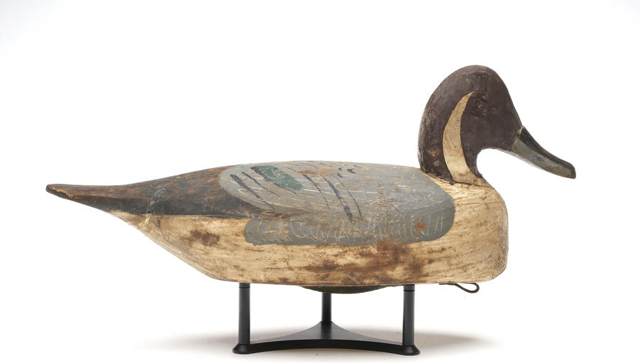 Miles Hancock – Pintail – 2026