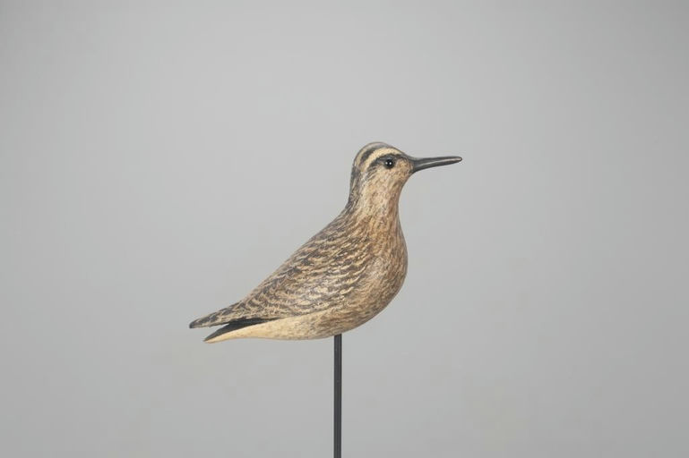 David Ward – Sandpiper – 2022