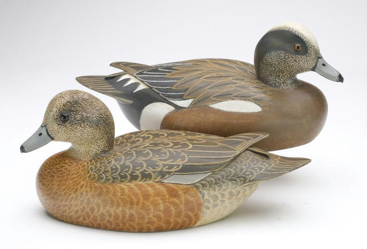 John McLoughlin – Wigeon – 2023