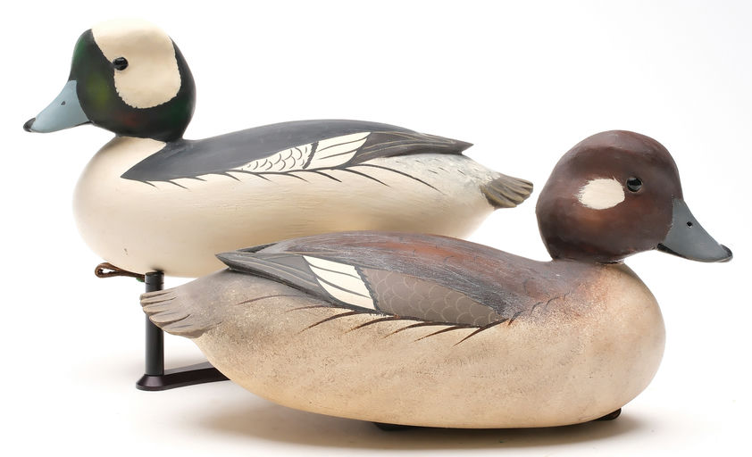 Bob White – Pair of Bufflehead – 2026
