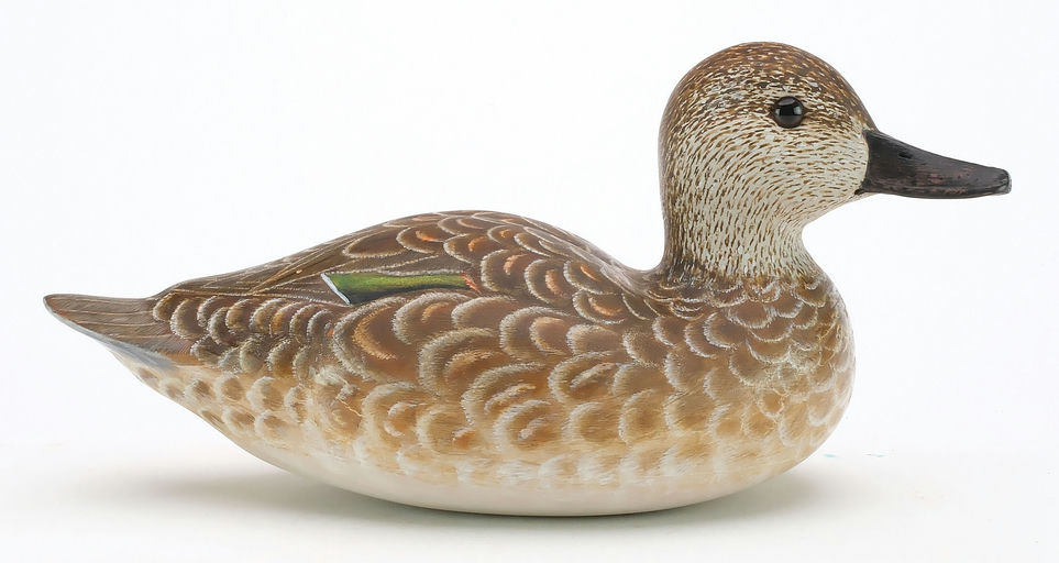 Cigar Daisey – Green-winged Teal – 2024