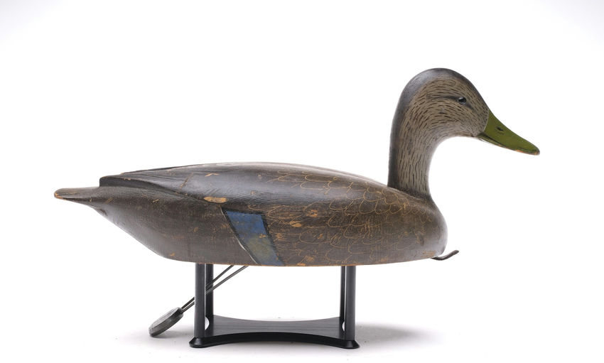 David W. Nichol – Black Duck – 2026