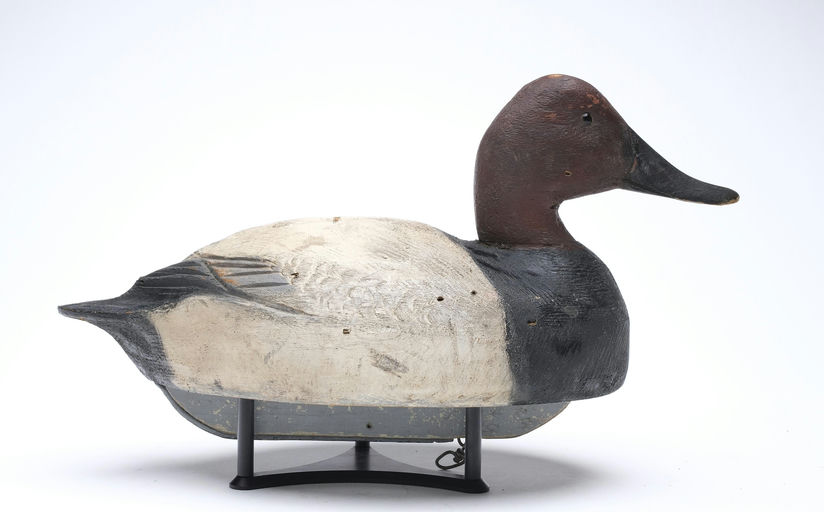 Ben Schmidt – Canvasback – 2026