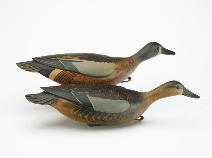 Bob White – Pair of Blue-winged Teal – 2024