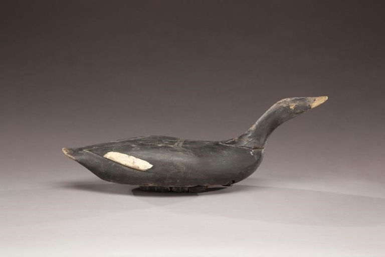 Gus Wilson – Swimming Scoter – 2011
