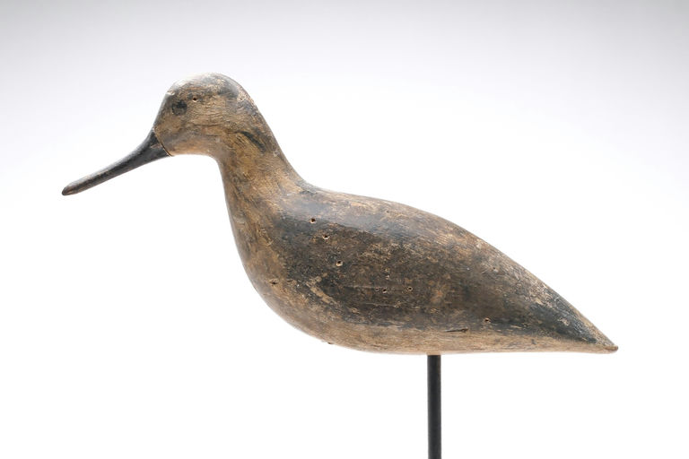 Harry V. Shourds – Yellowlegs – 2026