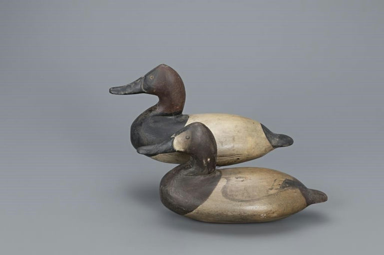 William Heverin – Exceptional Canvasback Pair – 2019