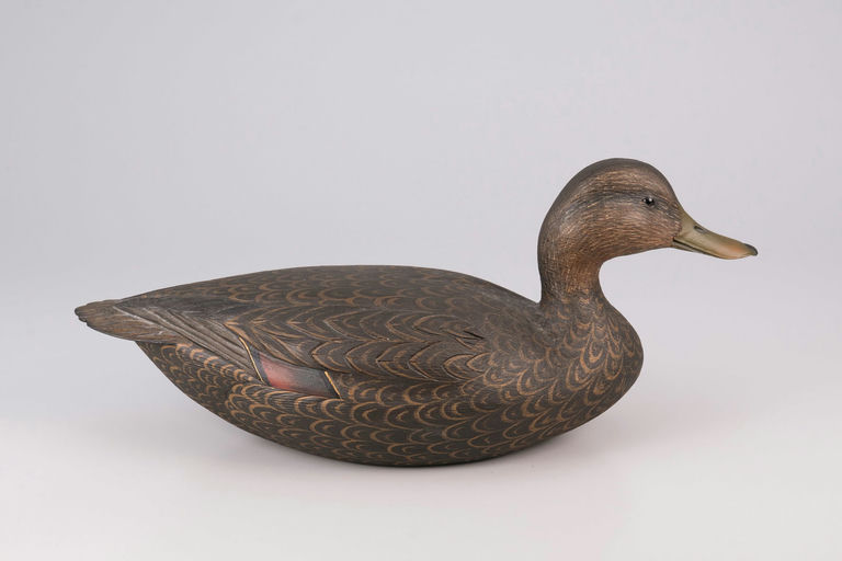 Mike Valley – Super Black Duck – 2026