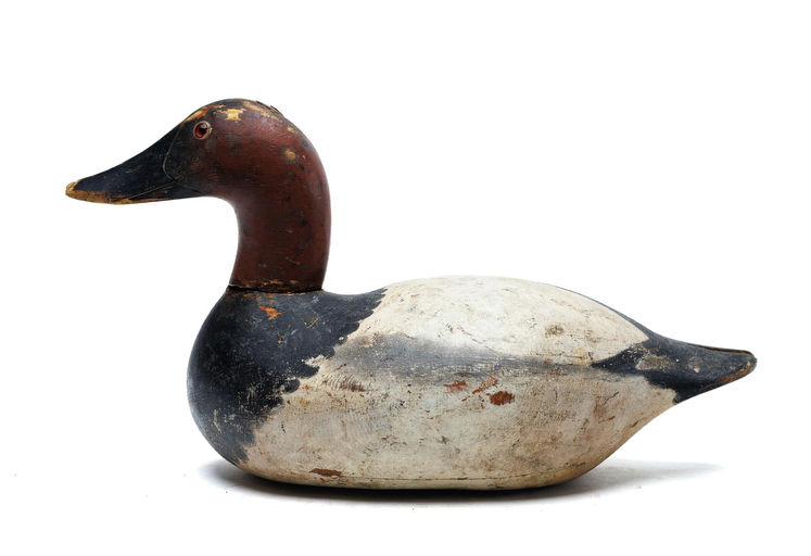 Mason Decoy Factory – Canvasback – 2026