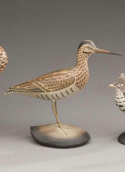 James Lapham – Life-Size Wilson Snipe – 2009
