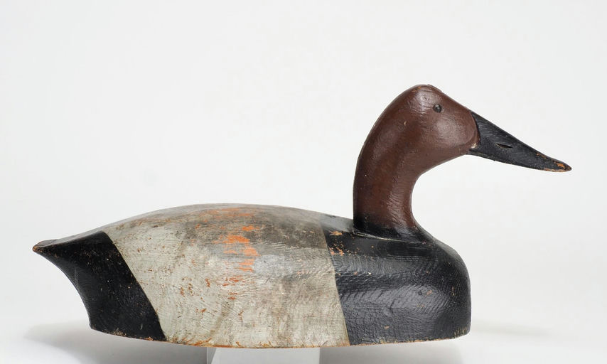 Fred Harris — Canvasback Drake