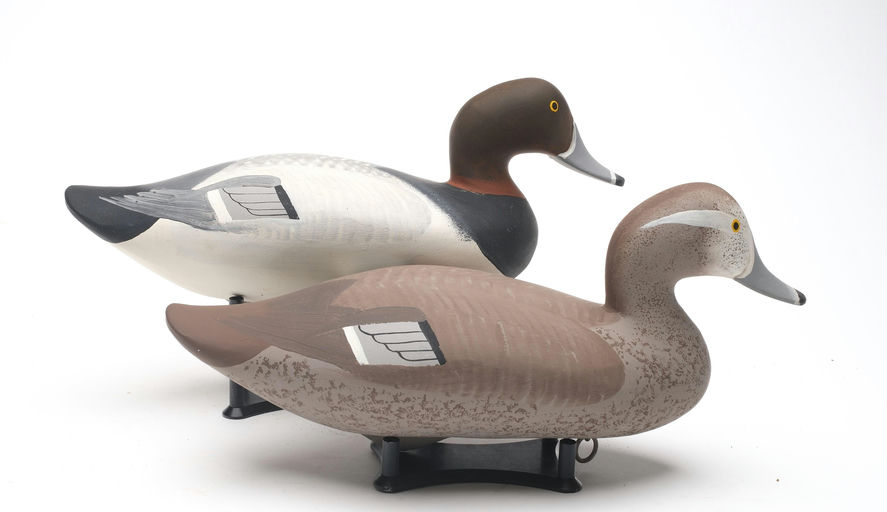 R. Madison Mitchell – Pair of Ringneck – 2026